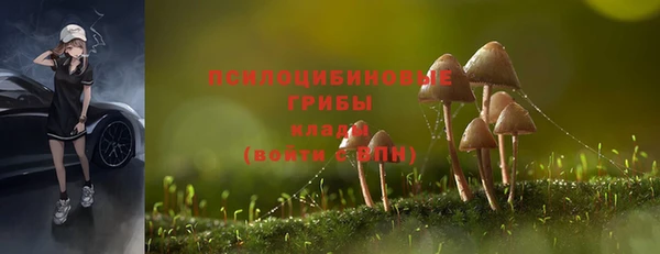 сатива Алзамай
