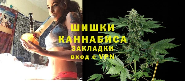 сатива Алзамай