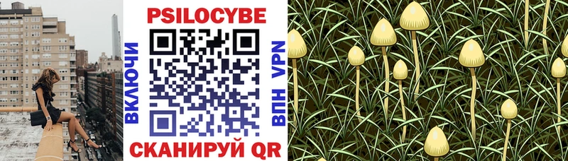 Псилоцибиновые грибы Magic Shrooms  Белебей 